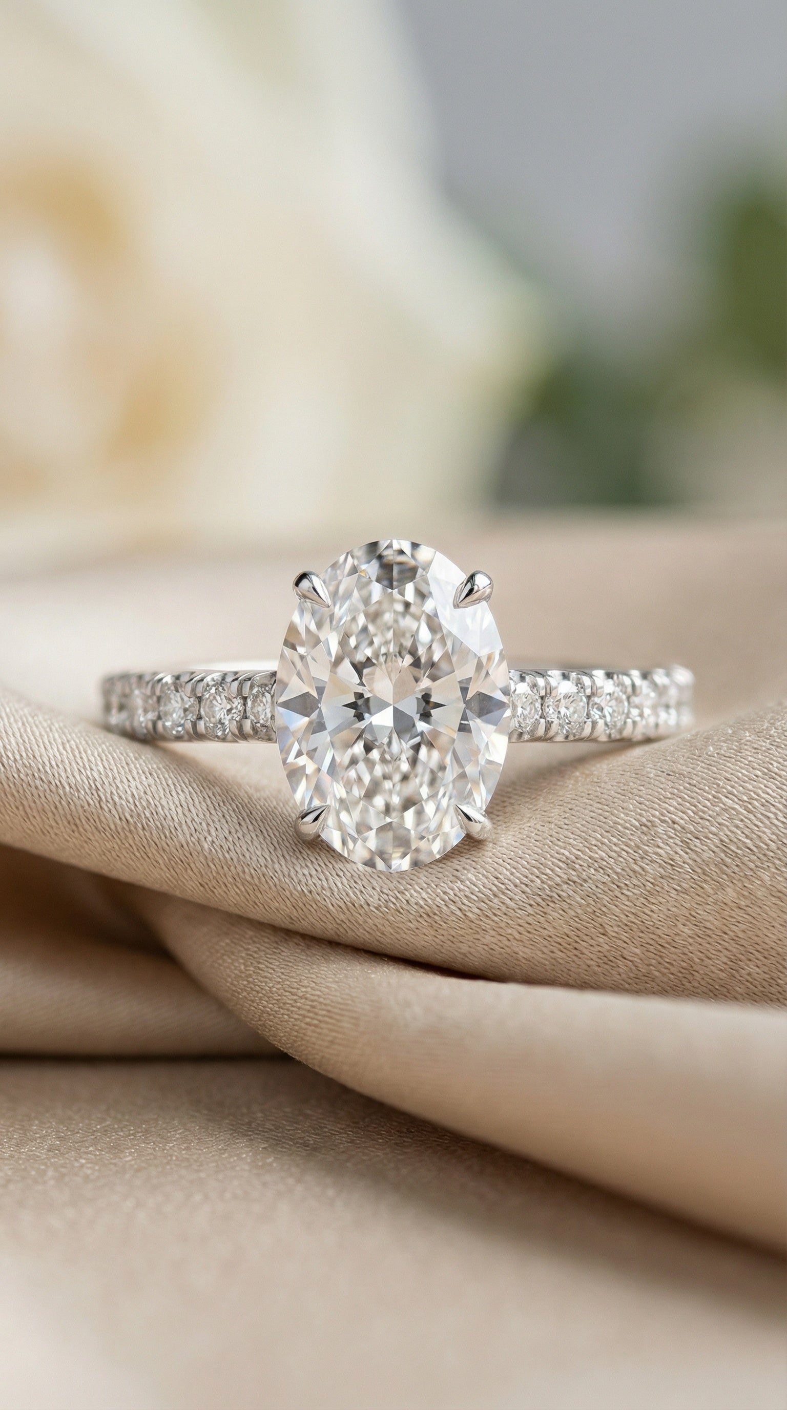 Timeless Collection